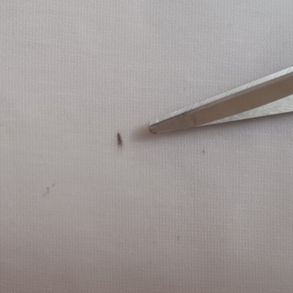 Women's Unity World Wear American Red White & Blue Butterfly 4th of July Size L - Picture 11 of 11